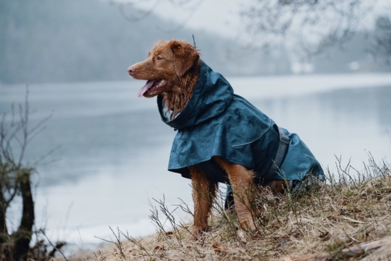 Hurtta Hunde-Regenmantel Monsoon coat blau